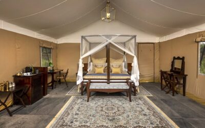The Claridges Collection opens a brand new property in Haridwar- Aalia Jungle Retreat & Spa
